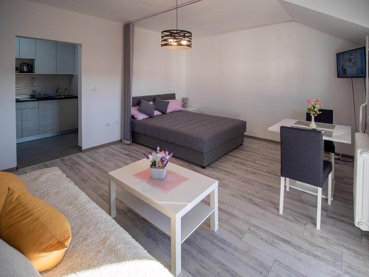 Apartman Sara Lägenhet Novi Sad Exteriör bild